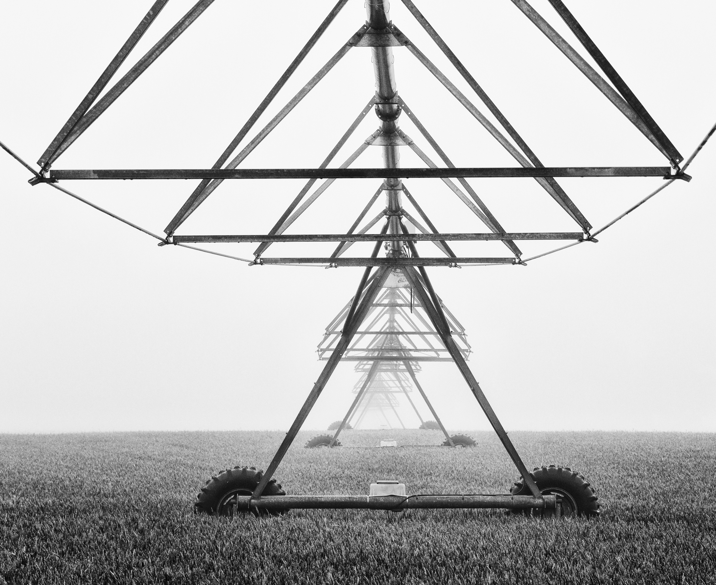 2nd PrizeOpen Mono In Class 3 By Paul Sylvia For Pivot In Fog OCT-2025.jpg